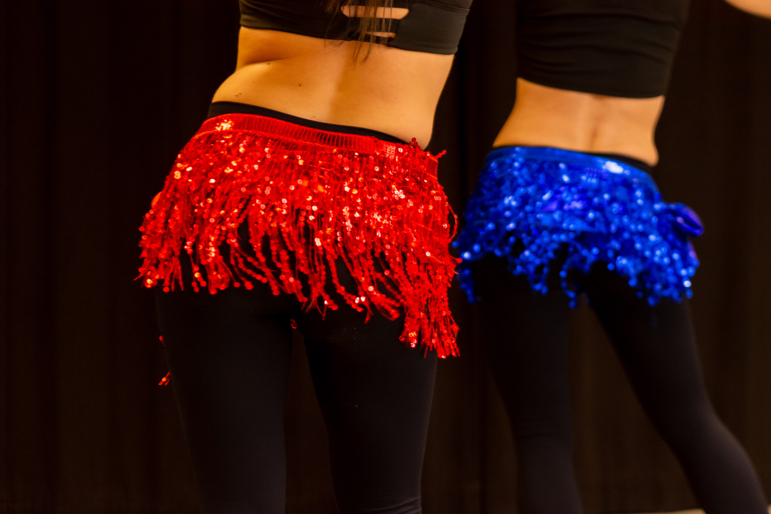 magdansöser showgrupp malmö